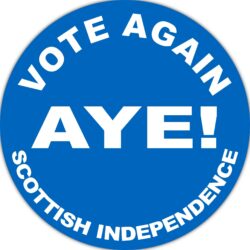 Aye - Vote Again - TWO PACK - Car Bumper Laptop Window Decal Sticker Statement Quote Scottish Referendum Independence