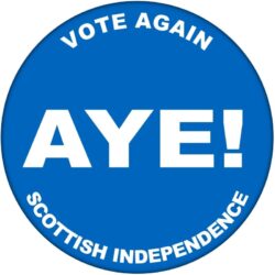 Aye - Vote Again - 59mm Badge/Badges Gift Present Statement Quote Scottish Referendum Independence