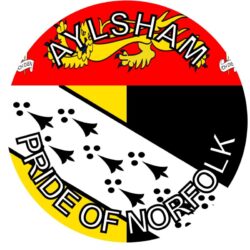 Aylsham - Pride of Norfolk - TWO PACK - Car Bumper Laptop Window Decal County Flag Sticker