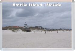 Amelia Island - Florida - USA - Jumbo Fridge Magnet Souvenir Gift Present 20US2