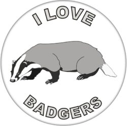 I Love Badgers - 59mm Badge/Badges Fun Gift Present