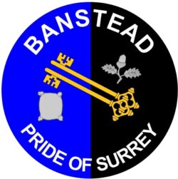 Banstead - Pride of Surrey - TWO PACK - Car Bumper Laptop Window Decal County Flag Sticker