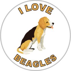 I Love Beagles - 59mm Badge/Badges Fun Gift Present