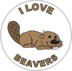 I Love Beavers - 59mm Badge/Badges Fun Gift Present
