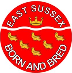 East Sussex Born & Bred - TWO PACK - Car Bumper Laptop Window Decal County Flag Sticker