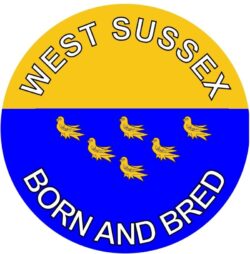 West Sussex Born & Bred - TWO PACK - Car Bumper Laptop Window Decal County Flag Sticker
