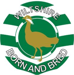 Wiltshire Born & Bred - TWO PACK - Car Bumper Laptop Window Decal County Flag Sticker