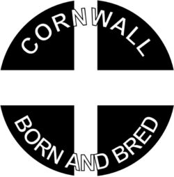 Cornwall Born & Bred - TWO PACK - Car Bumper Laptop Window Decal County Flag Sticker