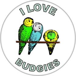 I Love Budgies - 59mm Badge/Badges Fun Gift Present