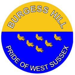 Burgess Hill - Pride of West Sussex - TWO PACK - Car Bumper Laptop Window Decal County Flag Sticker