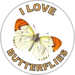 I Love Butterflies - 59mm Badge/Badges Fun Gift Present