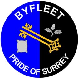 Byfleet - Pride of Surrey - TWO PACK - Car Bumper Laptop Window Decal County Flag Sticker