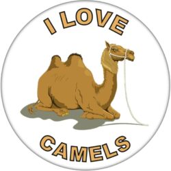 I Love Camels - 59mm Badge/Badges Fun Gift Present