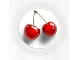 Cherries - Car Tax Disc Permit Window Holder - Reusable