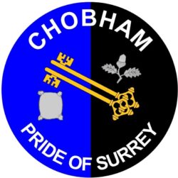 Chobham - Pride of Surrey - TWO PACK - Car Bumper Laptop Window Decal County Flag Sticker