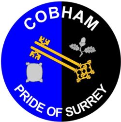 Cobham - Pride of Surrey - TWO PACK - Car Bumper Laptop Window Decal County Flag Sticker