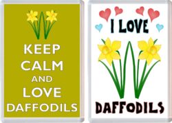 Keep Calm & I Love Daffodils (2 PACK) - Jumbo Fridge Magnet Souvenir Gift Present