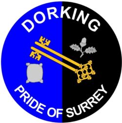 Dorking - Pride of Surrey - TWO PACK - Car Bumper Laptop Window Decal County Flag Sticker