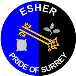 Esher - Pride of Surrey - TWO PACK - Car Bumper Laptop Window Decal County Flag Sticker