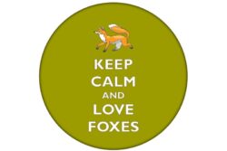 Keep Calm and Love Foxes - 59mm Birthday Pin Badge Gift Present