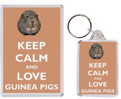 Keep Calm and Love Guinea Pigs - Jumbo Fridge Magnet & Double Sided Large Keyring Key Fob Chain Ring Gift Present Souvenir