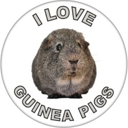 I Love Guinea Pigs - 59mm Badge/Badges Fun Gift Present