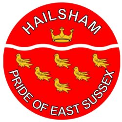 Hailsham - Pride of East Sussex - TWO PACK - Car Bumper Laptop Window Decal County Flag Sticker