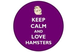 Keep Calm and Love Hamsters - 59mm Birthday Pin Badge Gift Present