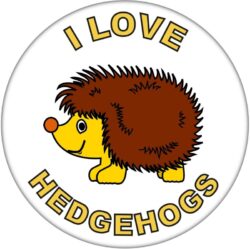 I Love Hedgehogs - 59mm Badge/Badges Fun Gift Present