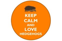 Keep Calm and Love Haedgehogs - 59mm Birthday Pin Badge Gift Present