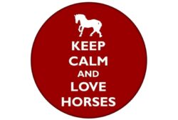 Keep Calm and Love Horses - 59mm Birthday Pin Badge Gift Present