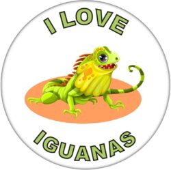 I Love Iguanas - 59mm Badge/Badges Fun Gift Present