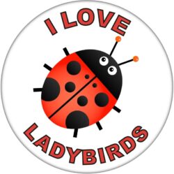 I Love Ladybirds - 59mm Badge/Badges Fun Gift Present