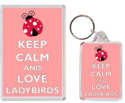 Keep Calm and Love Ladybirds - Jumbo Fridge Magnet & Double Sided Large Keyring Key Fob Chain Ring Gift Present Souvenir