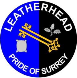 Leatherhead - Pride of Surrey - TWO PACK - Car Bumper Laptop Window Decal County Flag Sticker