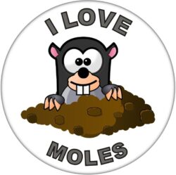 I Love Moles - 59mm Badge/Badges Fun Gift Present