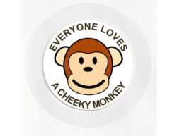 Everyone Loves a Cheeky Monkey - Car Tax Disc Permit Window Holder - Reusable
