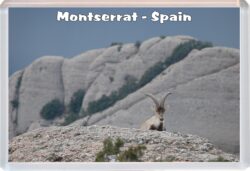 Montserrat - Spain - Jumbo Fridge Magnet Souvenir Gift Present 20S2