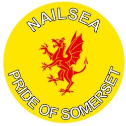 Nailsea - Pride of Somerset - TWO PACK - Car Bumper Laptop Window Decal County Flag Sticker
