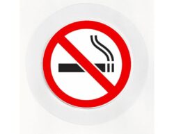 No Smoking - Car Tax Disc Permit Window Holder - Reusable