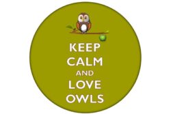 Keep Calm and Love Owls - 59mm Birthday Pin Badge Gift Present