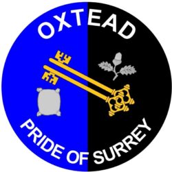 Oxtead - Pride of Surrey - TWO PACK - Car Bumper Laptop Window Decal County Flag Sticker