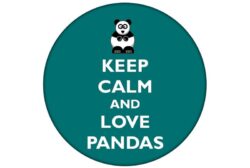 Keep Calm and Love Pandas - 59mm Birthday Pin Badge Gift Present