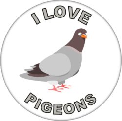 I Love Pigeons - 59mm Badge/Badges Fun Gift Present