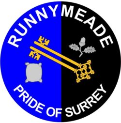 Runnymeade - Pride of Surrey - TWO PACK - Car Bumper Laptop Window Decal County Flag Sticker