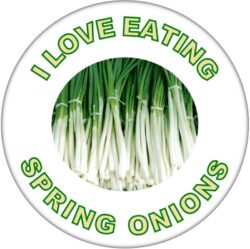 I Love Eating Spring Onions - 59mm Badge/Badges Fun Gift Present