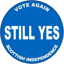 Still Yes - 59mm Badge/Badges Gift Present Statement Quote Scottish Referendum Independence