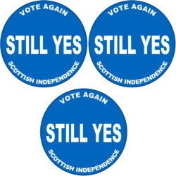 3 Pack - Still Yes - 59mm Badge/Badges Gift Present Statement Quote Scottish Referendum Independence