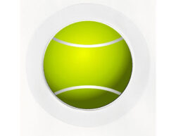 Tennis Ball - Car Tax Disc Permit Window Holder - Reusable