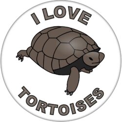 I Love Tortoises - 59mm Badge/Badges Fun Gift Present